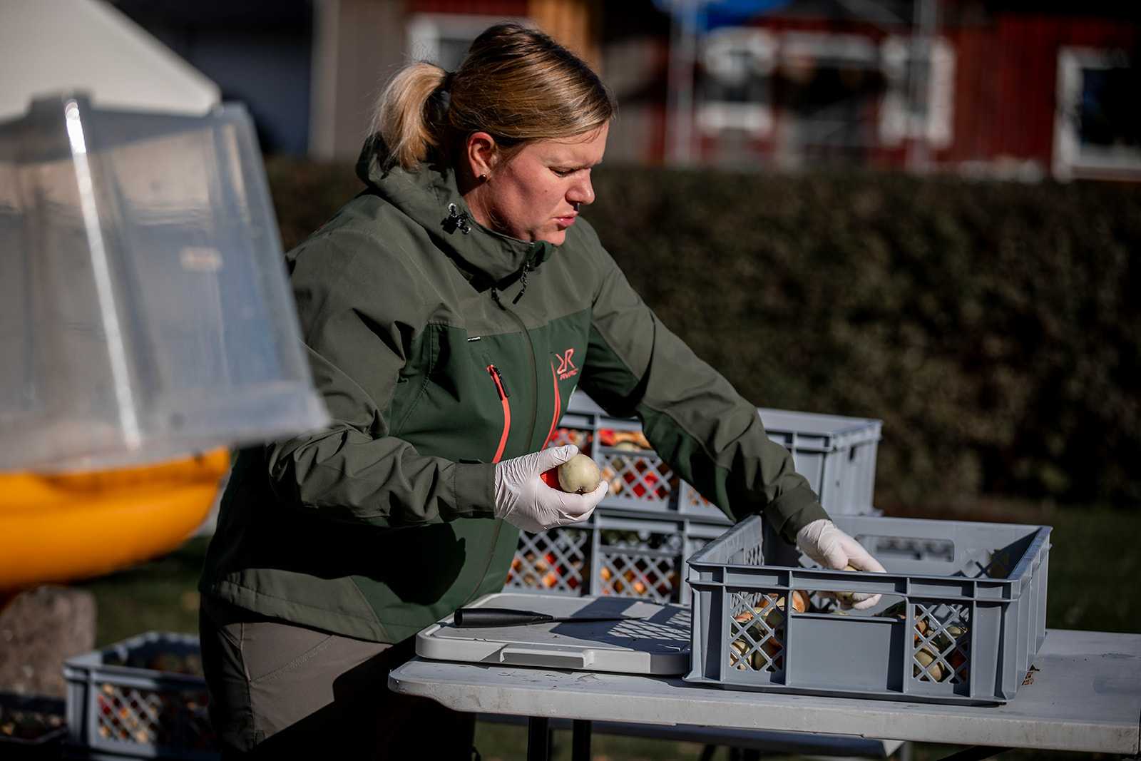 Anna skär upp äpplen